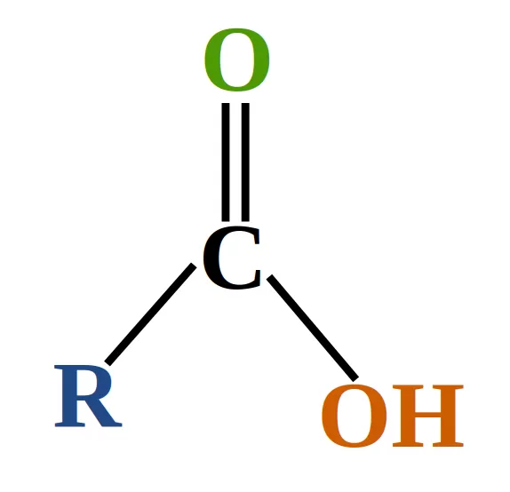 Fatty Acids